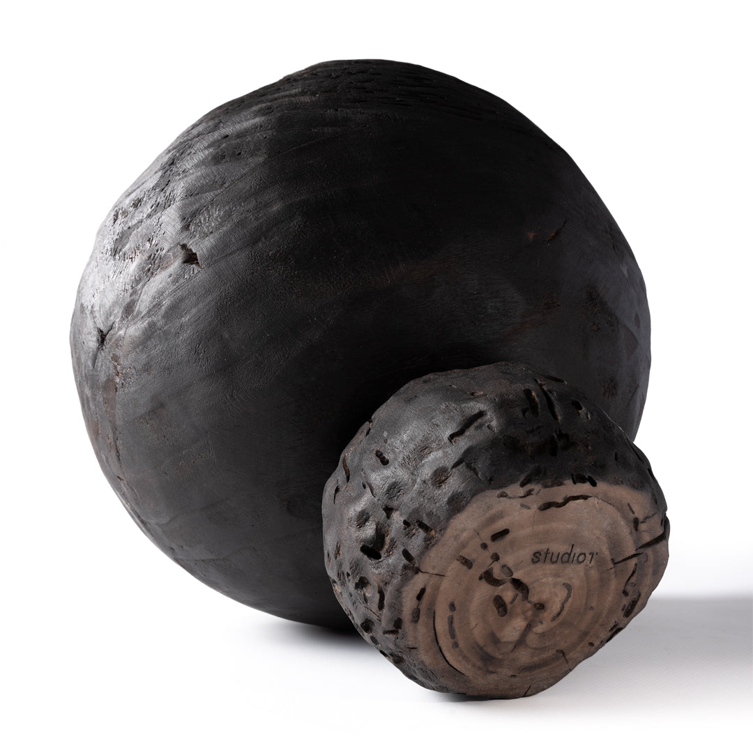 carbonized_b